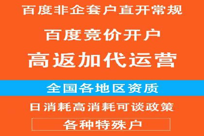 推广竞价实战技巧：从成功案例中汲取经验